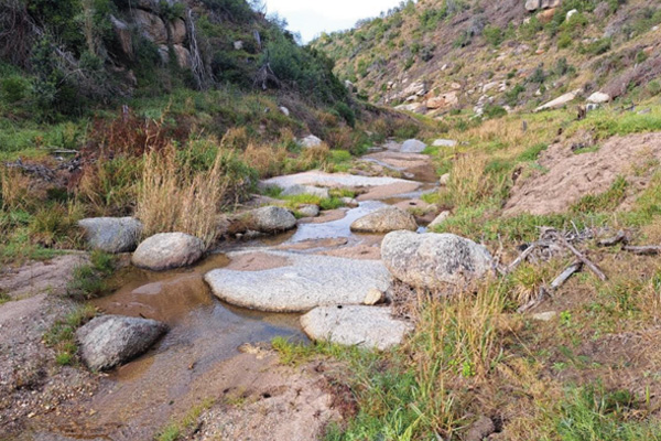 Confluent-Ruiterbos-River
