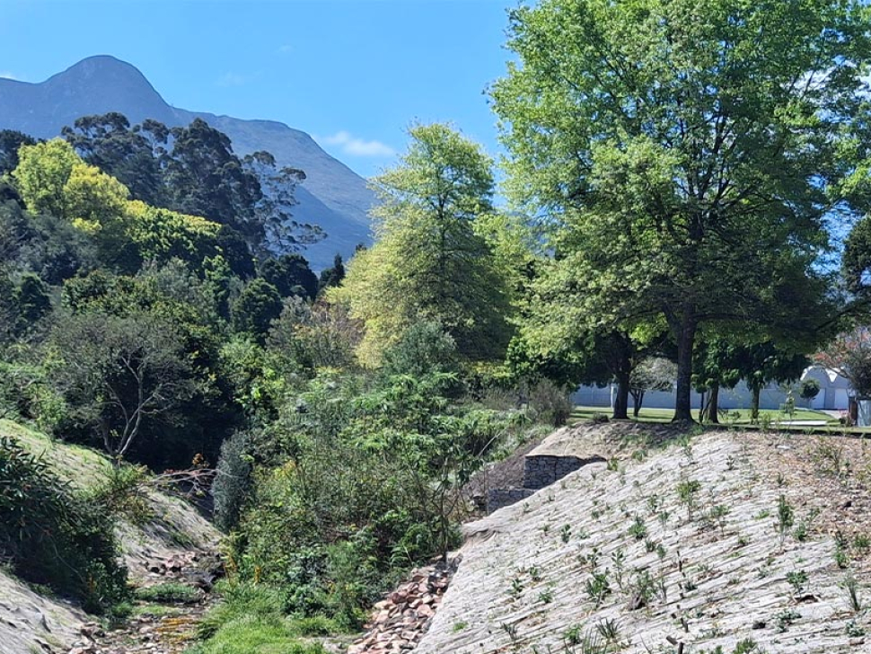 Confluent-Revegetating-Engineered-Banks-on-the-Camphersdrift-River